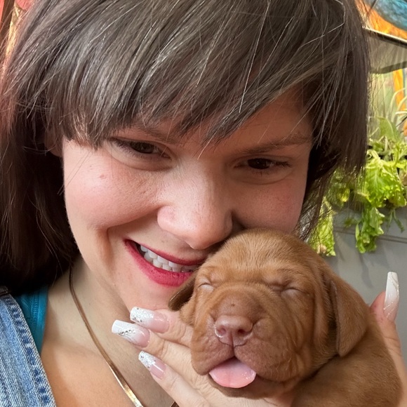 Meet your Posher, Ariel - Picture 2 of 4